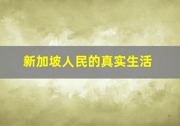 新加坡人民的真实生活