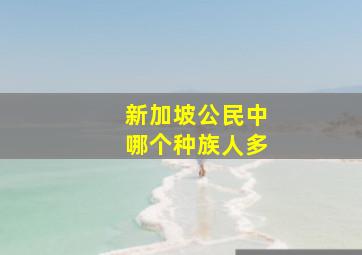 新加坡公民中哪个种族人多