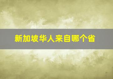 新加坡华人来自哪个省