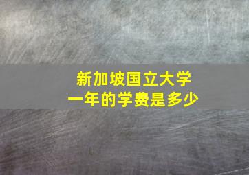 新加坡国立大学一年的学费是多少