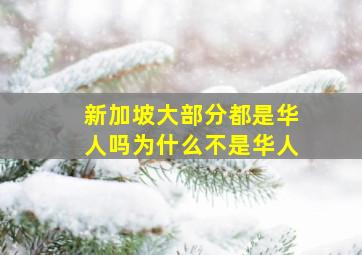 新加坡大部分都是华人吗为什么不是华人