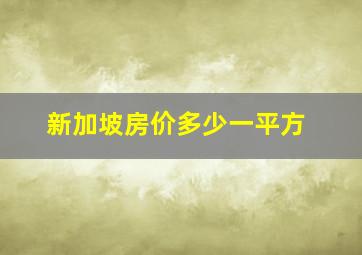 新加坡房价多少一平方