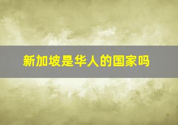 新加坡是华人的国家吗