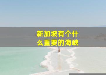 新加坡有个什么重要的海峡