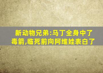 新动物兄弟:马丁全身中了毒箭,临死前向阿维娃表白了