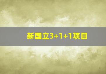 新国立3+1+1项目