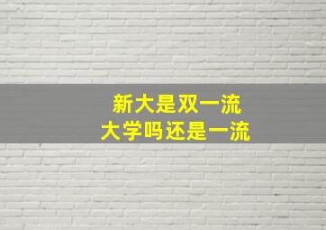 新大是双一流大学吗还是一流