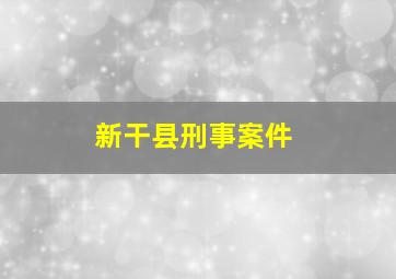 新干县刑事案件