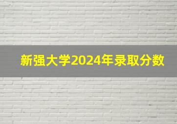 新强大学2024年录取分数