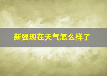 新强现在天气怎么样了