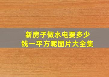 新房子做水电要多少钱一平方呢图片大全集