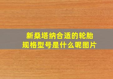 新桑塔纳合适的轮胎规格型号是什么呢图片