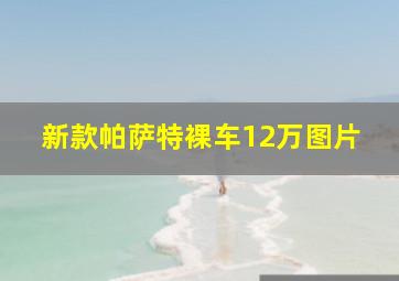 新款帕萨特裸车12万图片