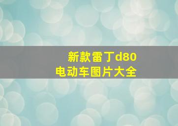 新款雷丁d80电动车图片大全