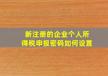 新注册的企业个人所得税申报密码如何设置