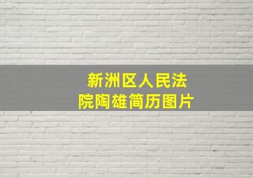 新洲区人民法院陶雄简历图片