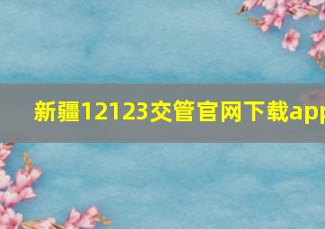 新疆12123交管官网下载app