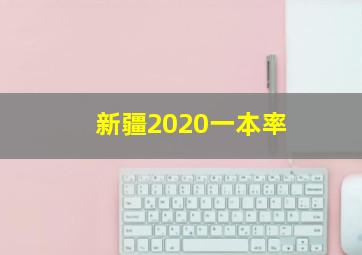 新疆2020一本率