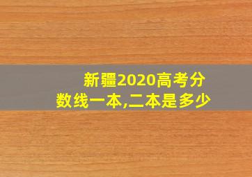 新疆2020高考分数线一本,二本是多少