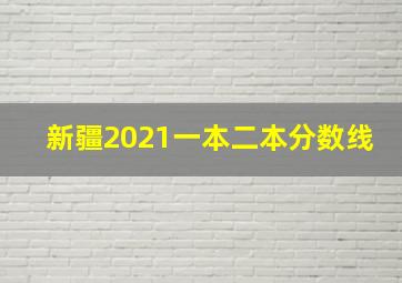 新疆2021一本二本分数线