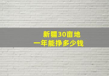 新疆30亩地一年能挣多少钱