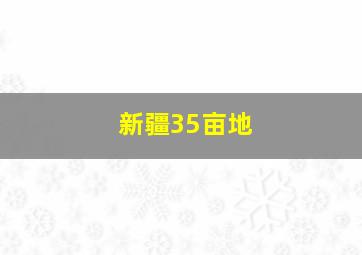 新疆35亩地