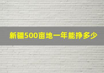 新疆500亩地一年能挣多少