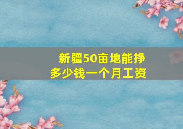 新疆50亩地能挣多少钱一个月工资