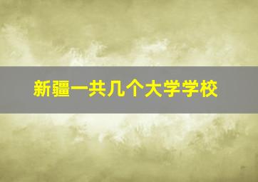 新疆一共几个大学学校