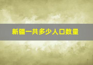 新疆一共多少人口数量