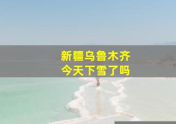 新疆乌鲁木齐今天下雪了吗