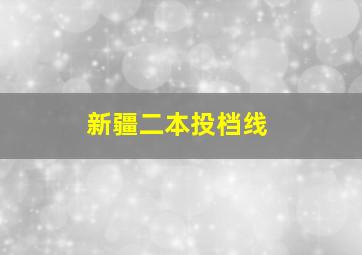 新疆二本投档线