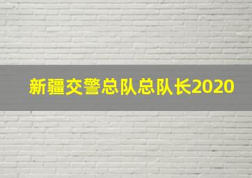 新疆交警总队总队长2020