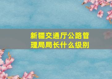 新疆交通厅公路管理局局长什么级别