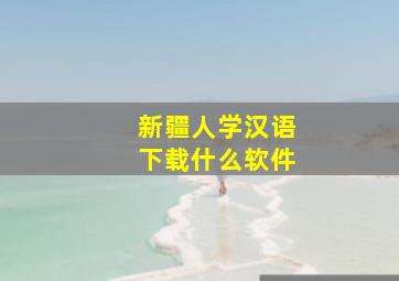 新疆人学汉语下载什么软件