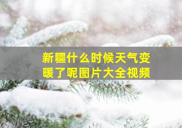 新疆什么时候天气变暖了呢图片大全视频