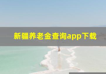 新疆养老金查询app下载