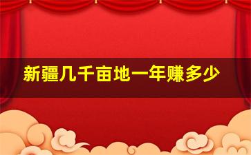 新疆几千亩地一年赚多少