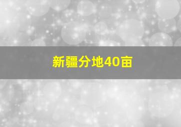 新疆分地40亩