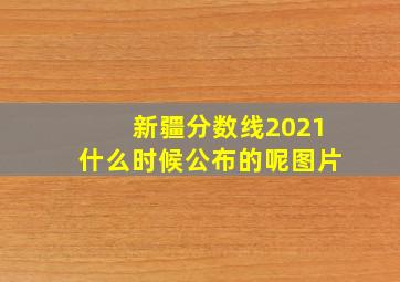 新疆分数线2021什么时候公布的呢图片