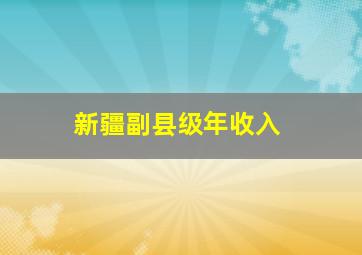 新疆副县级年收入