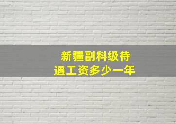 新疆副科级待遇工资多少一年