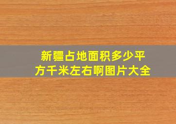 新疆占地面积多少平方千米左右啊图片大全