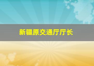 新疆原交通厅厅长