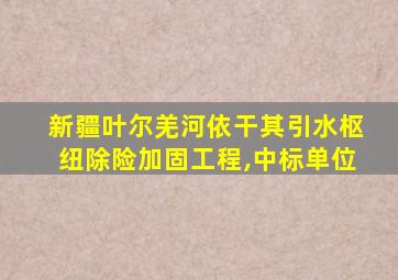 新疆叶尔羌河依干其引水枢纽除险加固工程,中标单位