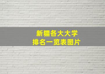 新疆各大大学排名一览表图片