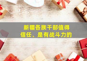 新疆各族干部值得信任、是有战斗力的