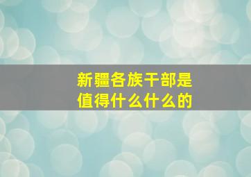 新疆各族干部是值得什么什么的