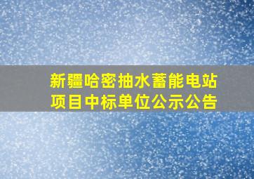 新疆哈密抽水蓄能电站项目中标单位公示公告