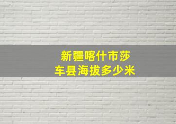 新疆喀什市莎车县海拔多少米